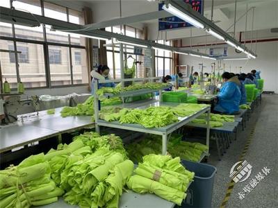 新春新氣象，赤壁服裝企業(yè)設(shè)計(jì)先行，全力沖刺“開(kāi)門紅”